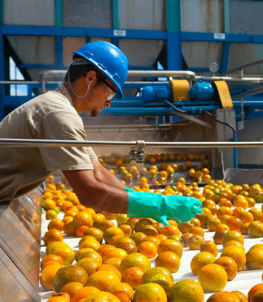 Le géant mondial de l’agro-industrie affiche une chaîne de valeurs variée et efficace