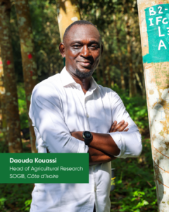 Hévéa/Recherche : Entretien avec Daouda Kouassi, Responsable de la Recherche Agronomique